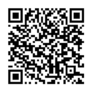 Lien vers votre campagne QRCode - Collecte de fonds