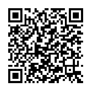 Lien vers votre campagne QRCode - Collecte de fonds