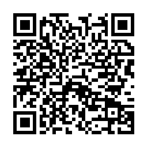 Lien vers votre campagne QRCode - Collecte de fonds