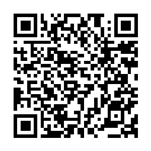 Lien vers votre campagne QRCode - Collecte de fonds