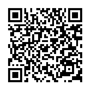 Lien vers votre campagne QRCode - Collecte de fonds