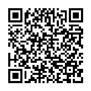 Lien vers votre campagne QRCode - Collecte de fonds