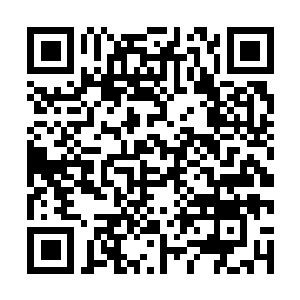 Lien vers votre campagne QRCode - Collecte de fonds