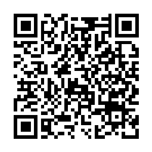 Lien vers votre campagne QRCode - Collecte de fonds