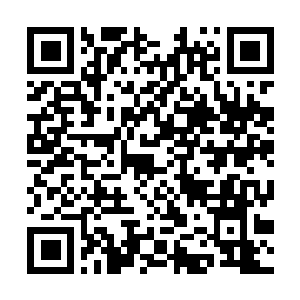 Lien vers votre campagne QRCode - Collecte de fonds
