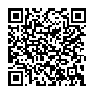 Lien vers votre campagne QRCode - Collecte de fonds