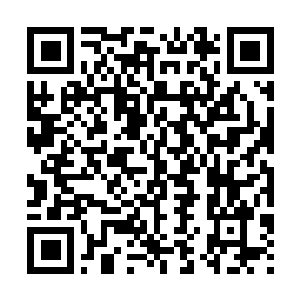 Lien vers votre campagne QRCode - Collecte de fonds
