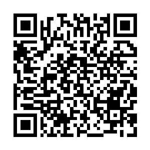 Lien vers votre campagne QRCode - Collecte de fonds