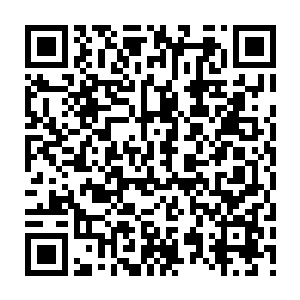 Lien vers votre campagne QRCode - Collecte de fonds