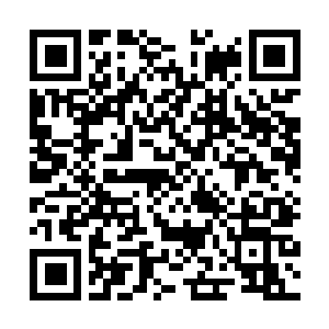 Lien vers votre campagne QRCode - Collecte de fonds