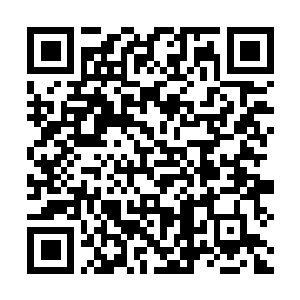 Lien vers votre campagne QRCode - Collecte de fonds