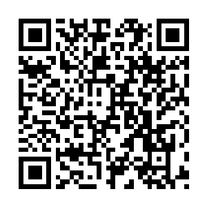 Lien vers votre campagne QRCode - Collecte de fonds