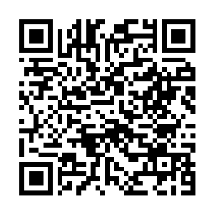 Lien vers votre campagne QRCode - Collecte de fonds