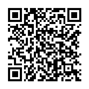 Lien vers votre campagne QRCode - Collecte de fonds