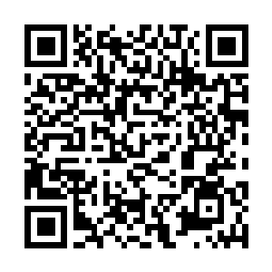 Lien vers votre campagne QRCode - Collecte de fonds