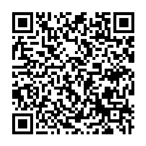 Lien vers votre campagne QRCode - Collecte de fonds