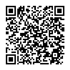 Lien vers votre campagne QRCode - Collecte de fonds