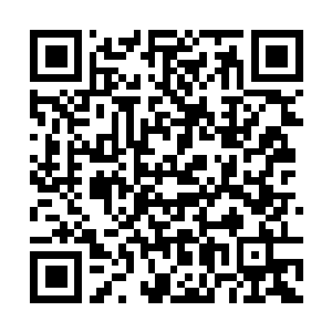 Lien vers votre campagne QRCode - Collecte de fonds