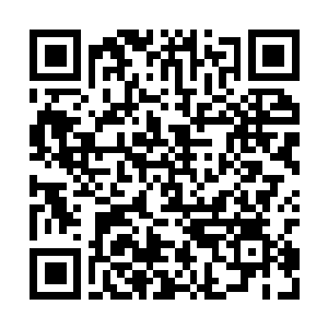 Lien vers votre campagne QRCode - Collecte de fonds