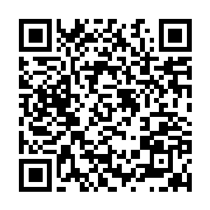 Lien vers votre campagne QRCode - Collecte de fonds