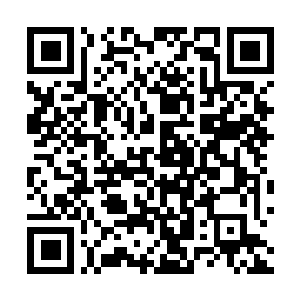 Lien vers votre campagne QRCode - Collecte de fonds
