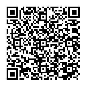 Lien vers votre campagne QRCode - Collecte de fonds