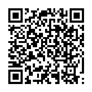 Lien vers votre campagne QRCode - Collecte de fonds