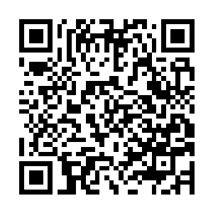 Lien vers votre campagne QRCode - Collecte de fonds