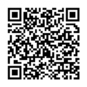 Lien vers votre campagne QRCode - Collecte de fonds
