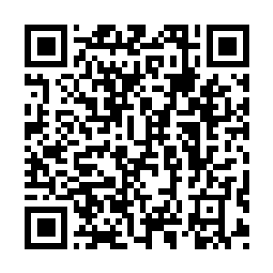 Lien vers votre campagne QRCode - Collecte de fonds