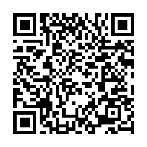 Lien vers votre campagne QRCode - Collecte de fonds
