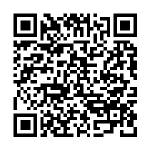 Lien vers votre campagne QRCode - Collecte de fonds