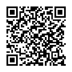Lien vers votre campagne QRCode - Collecte de fonds