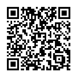 Lien vers votre campagne QRCode - Collecte de fonds
