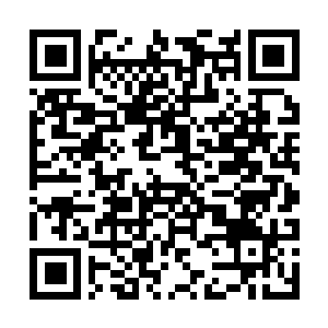 Lien vers votre campagne QRCode - Collecte de fonds