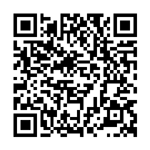 Lien vers votre campagne QRCode - Collecte de fonds