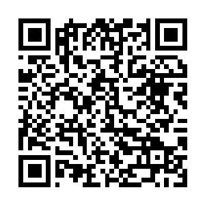 Lien vers votre campagne QRCode - Collecte de fonds