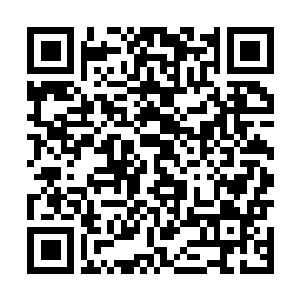Lien vers votre campagne QRCode - Collecte de fonds
