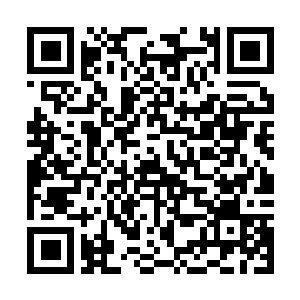 Lien vers votre campagne QRCode - Collecte de fonds