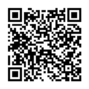 Lien vers votre campagne QRCode - Collecte de fonds