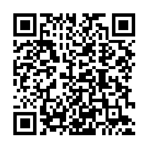 Lien vers votre campagne QRCode - Collecte de fonds
