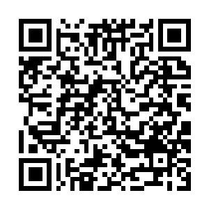 Lien vers votre campagne QRCode - Collecte de fonds