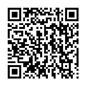 Lien vers votre campagne QRCode - Collecte de fonds