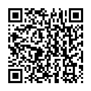Lien vers votre campagne QRCode - Collecte de fonds
