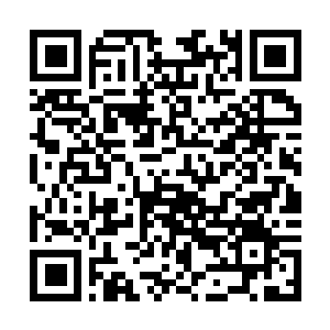 Lien vers votre campagne QRCode - Collecte de fonds