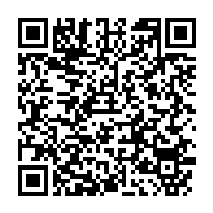 Lien vers votre campagne QRCode - Collecte de fonds