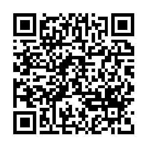 Lien vers votre campagne QRCode - Collecte de fonds