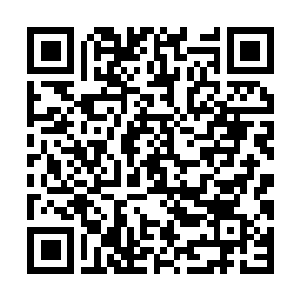 Lien vers votre campagne QRCode - Collecte de fonds