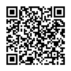 Lien vers votre campagne QRCode - Collecte de fonds