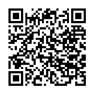 Lien vers votre campagne QRCode - Collecte de fonds